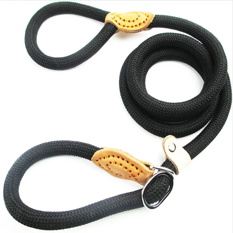 Brown nylon P chain dog leash with hand holding rope section, 2.1 metres long