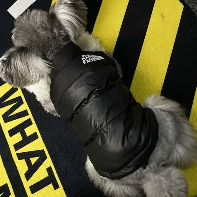 Thick warm down vest for small breed dogs in black, front view, with size S to XXL options