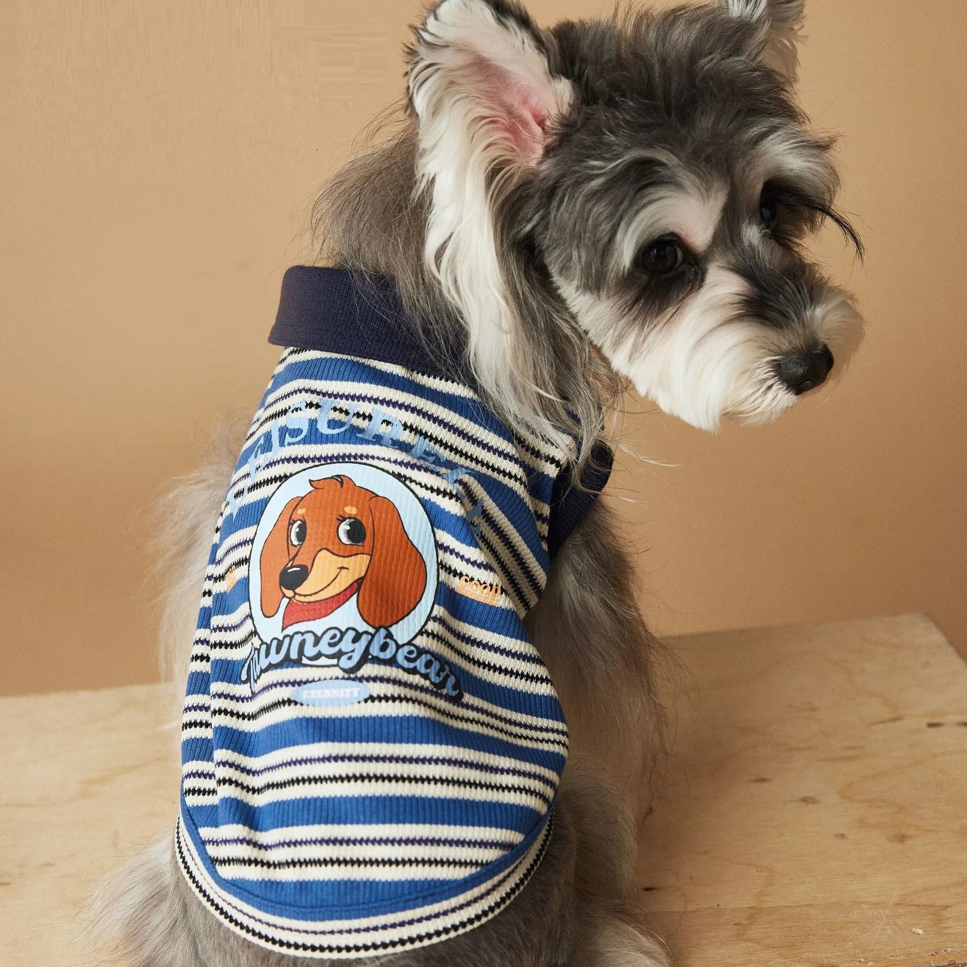 Tony Bear dog clothes striped polo shirt in cotton, blue colour, size L, on a white background
