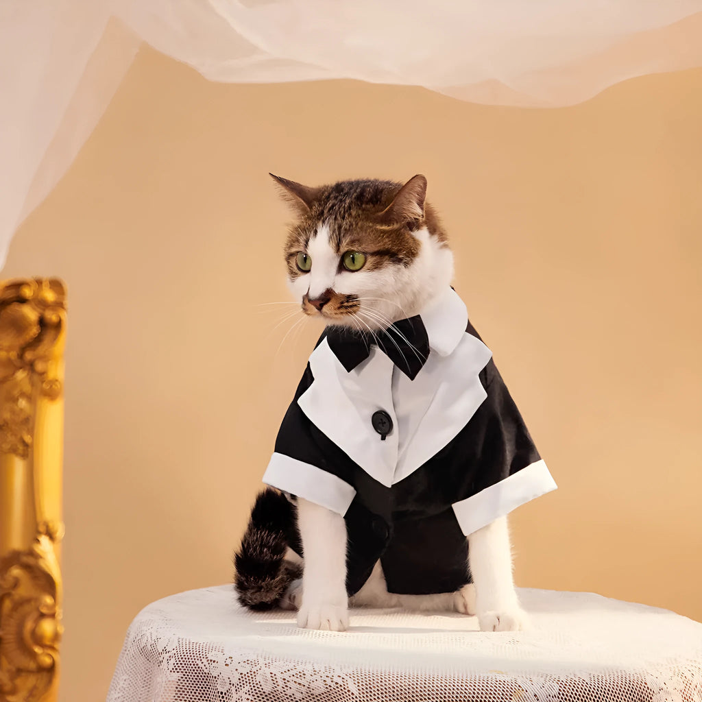 Chinese-style four-legged dog wedding suit in polyester fabric available in multiple sizes
