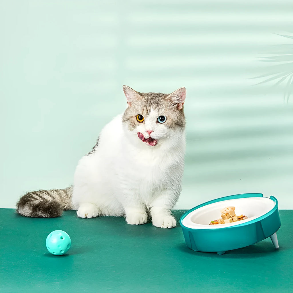 Cat disposable food bowl with green bowl base, disposable paper bowl, and non-slip foot pad, 17.8cm diameter