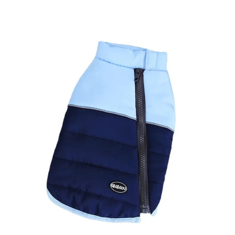 Dog wearing autumn winter cotton vest with zipper in blue colour
