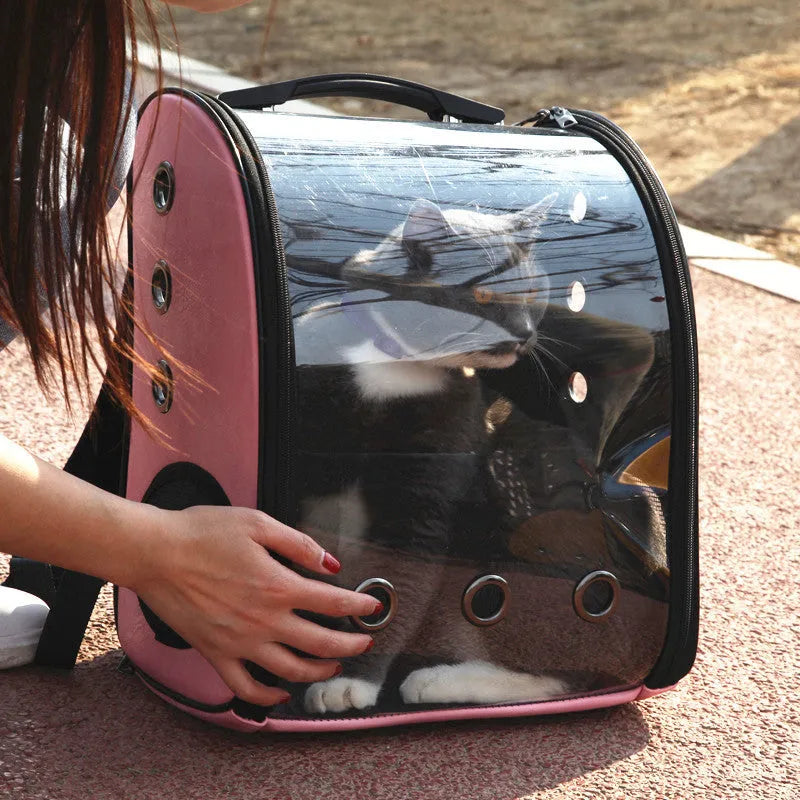 Folding transparent pet backpack in Black with food-grade PC body suitable for cats up to 13 Jin and dogs up to 10 kg