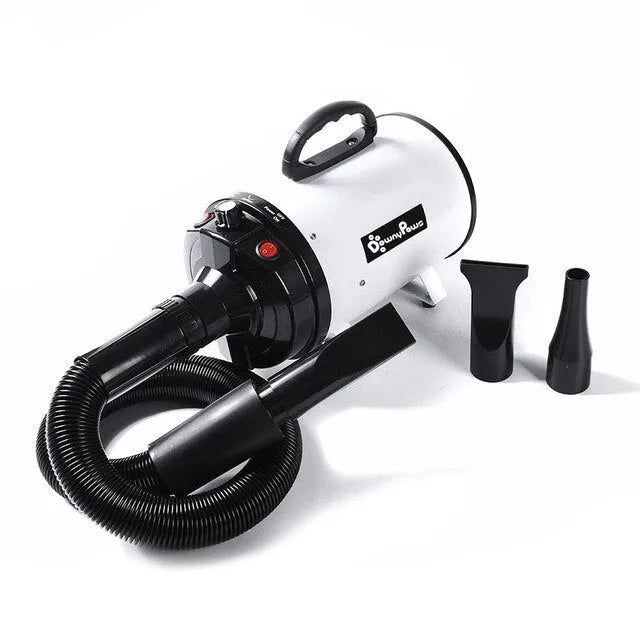 Pet water blowing machine in black with nozzle, adjustable wind speed and temperature for dogs and cats