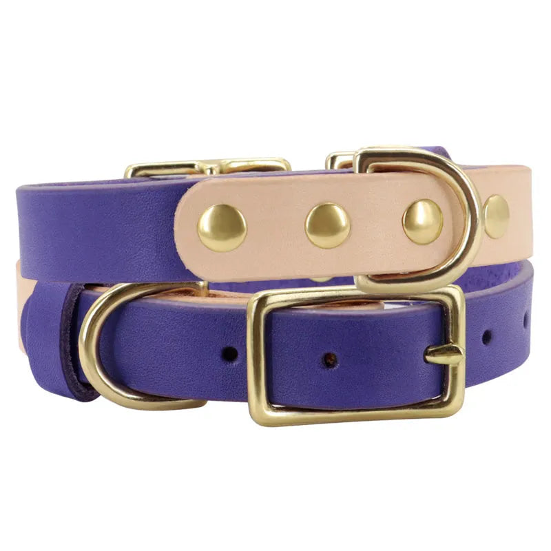 Leather cat collar in green with lettering plate on a neutral background