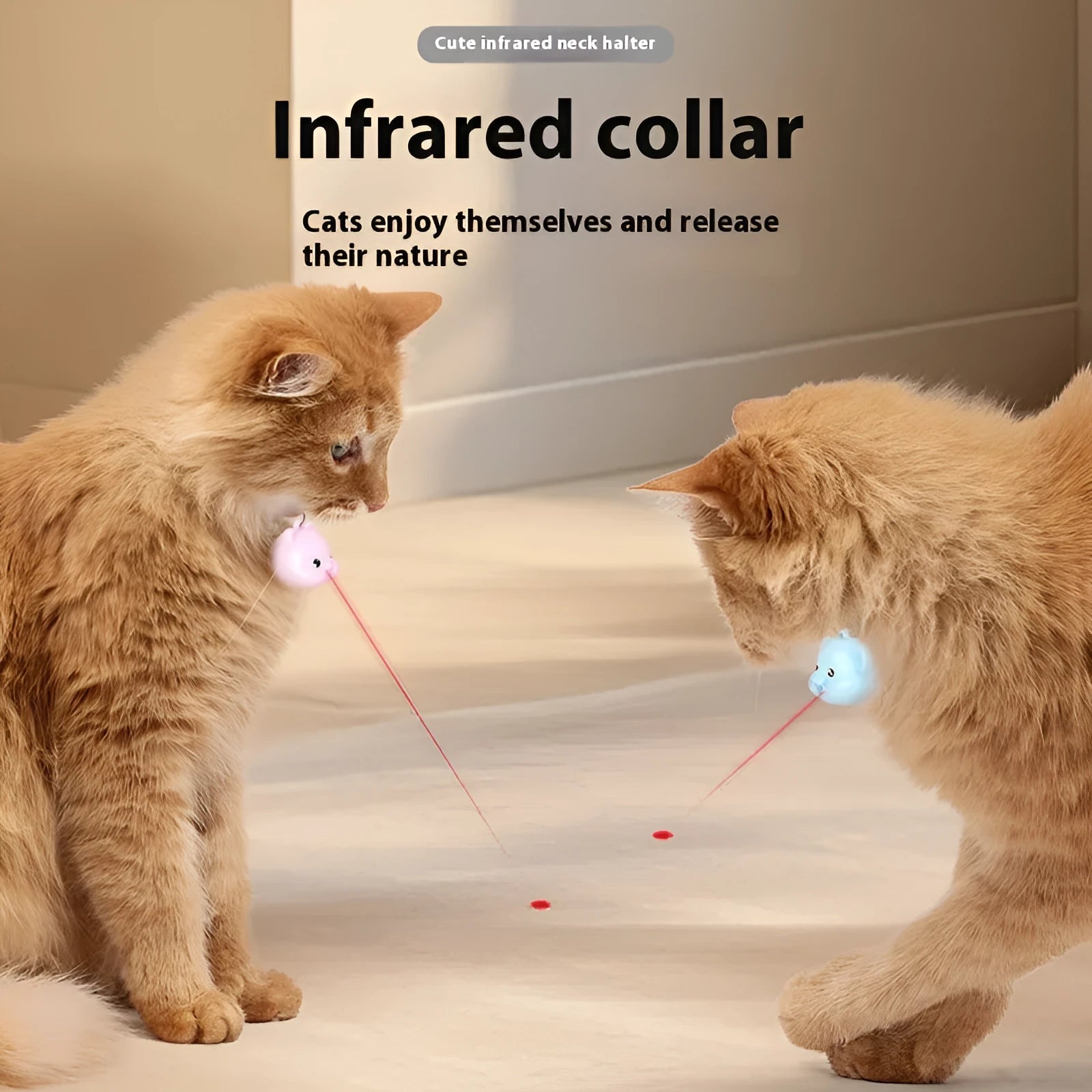 Rechargeable remote control cat infrared halter collar with adjustable strap and handheld transmitter