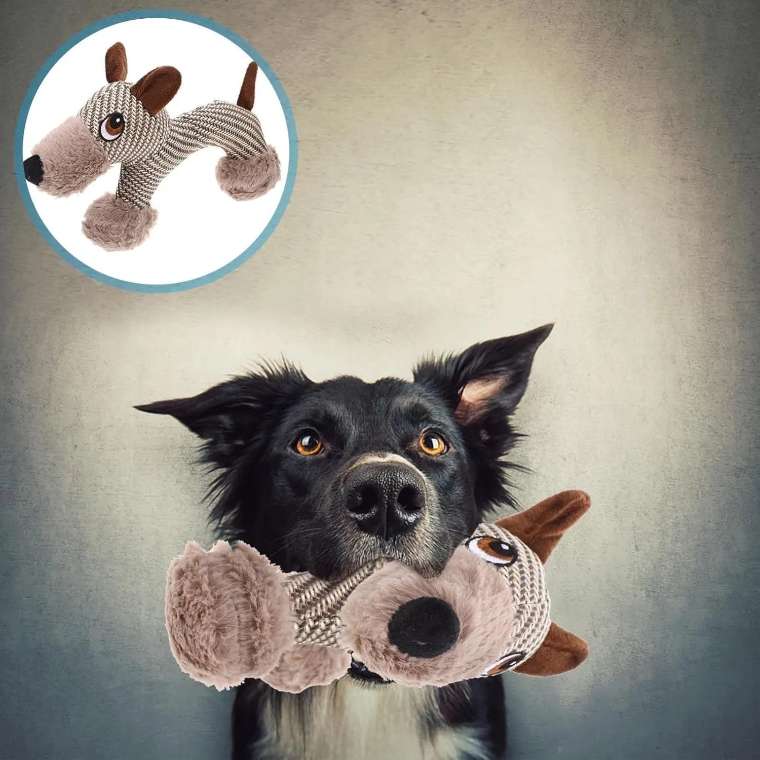 Soft plush dog squeaky toy in monkey and puppy designs for medium and large breed dogs.