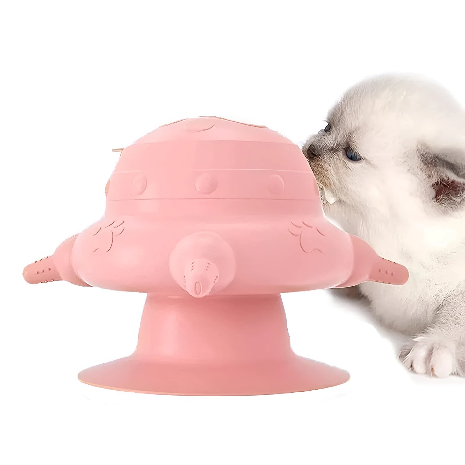 Pink silicone pet milk feeding bowl with bionic breast design and four teats.