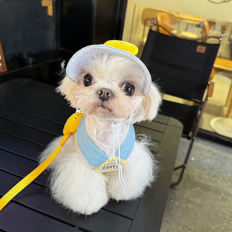 Three-piece pet harness and leash set with wire rope pulling rope and detachable cute hat