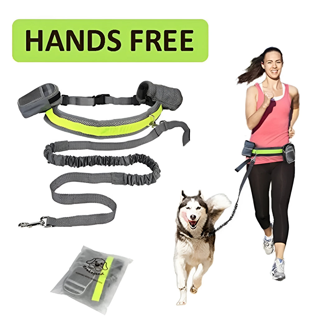 Adjustable hands free dog leash set with gray nylon retractable rope and waist bag on a grass field