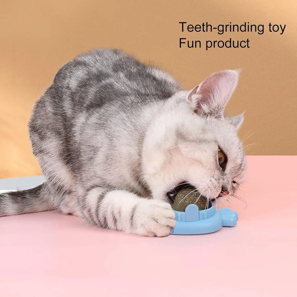 Blue carrot-shaped catnip dental toy with adhesive backing for wall mounting