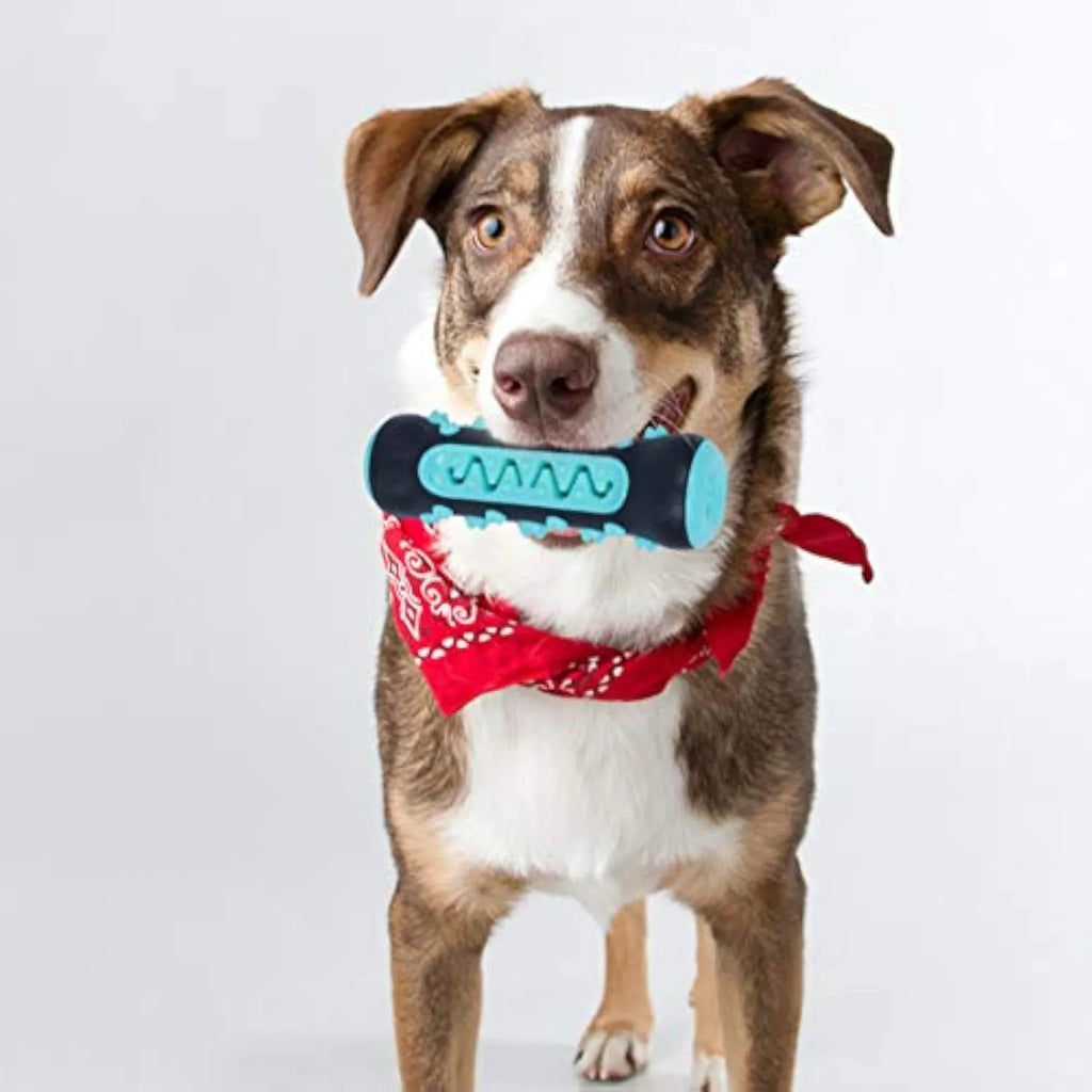 Natural rubber dog dental chew toy in blue, showing textured cleaning surface and size.