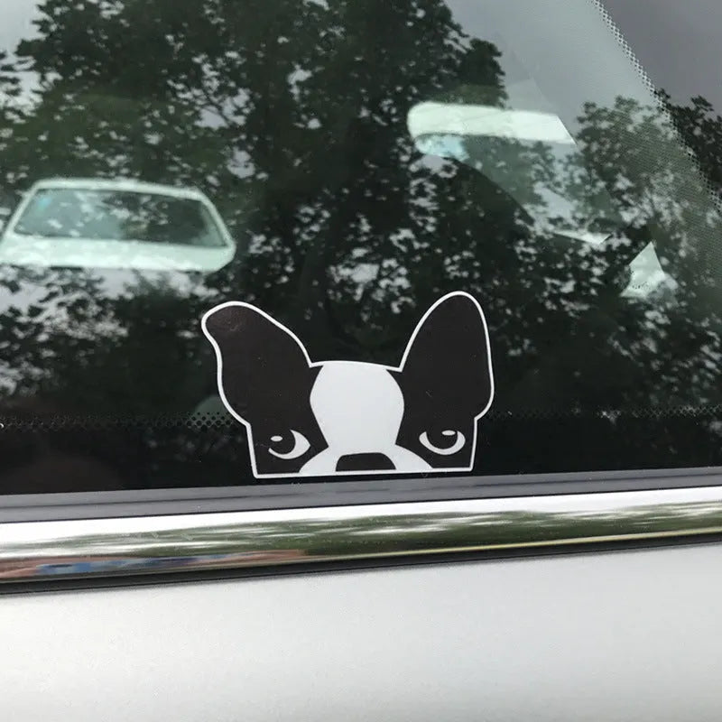10 pcs bulldog sticker set, pet reflective material, 11cm by 7cm, strong adhesion, puppy pattern, colours A B C