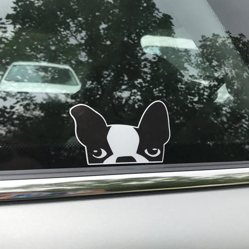 10 pcs bulldog sticker set, pet reflective material, 11cm by 7cm, strong adhesion, puppy pattern, colours A B C
