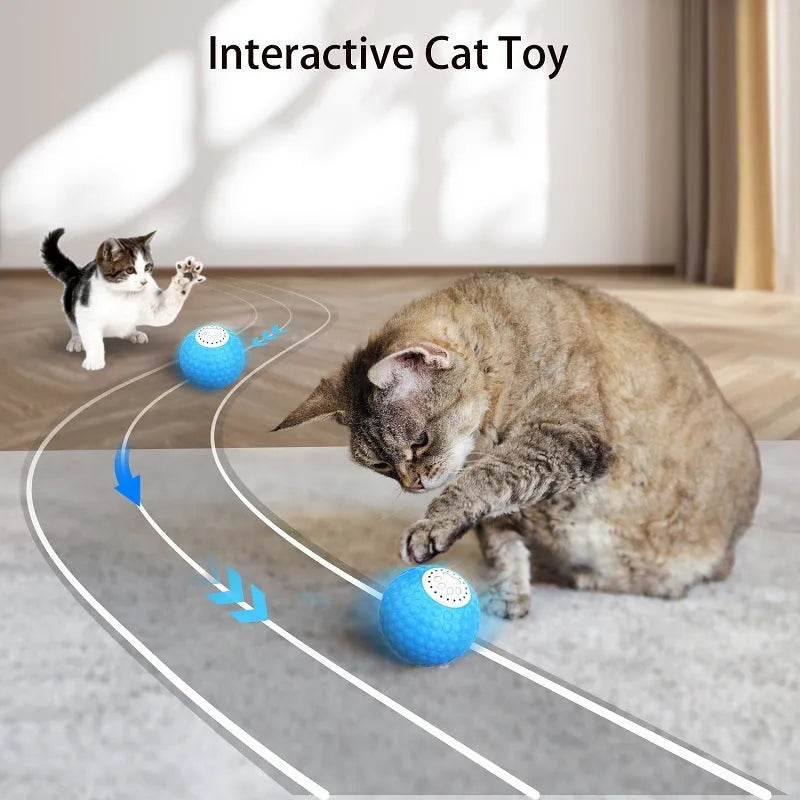 Remote control cat toy ball in blue colour with wireless controller