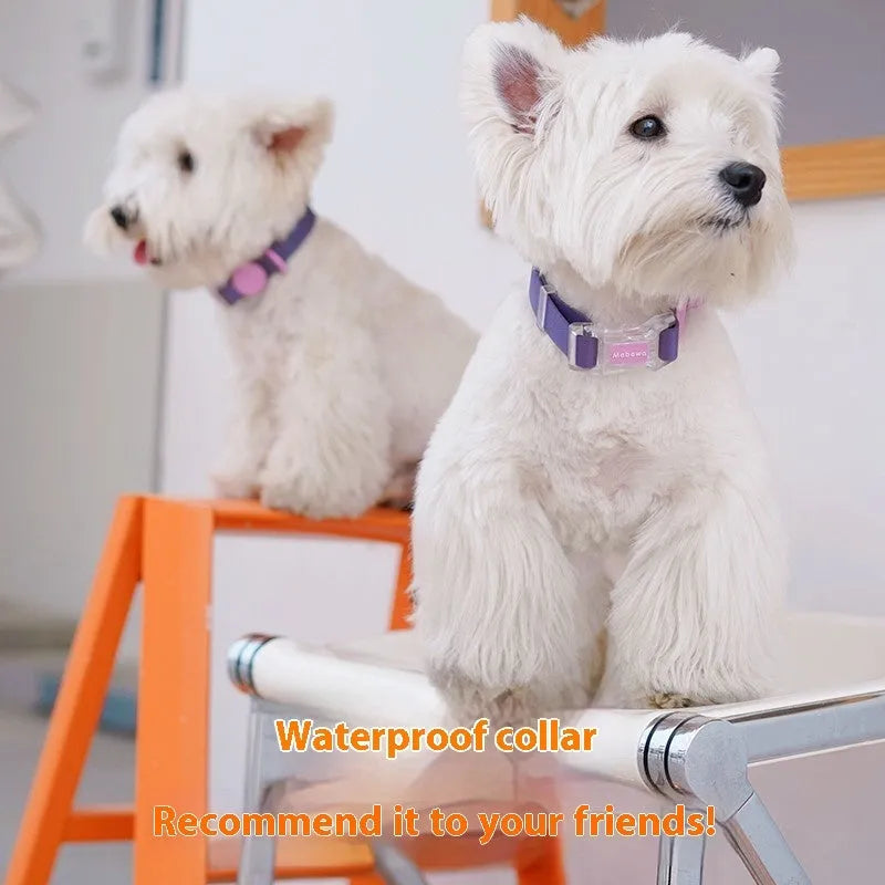 Nylon dog collar and leash in choice of four colours with 1.5m or 2.1m rope options