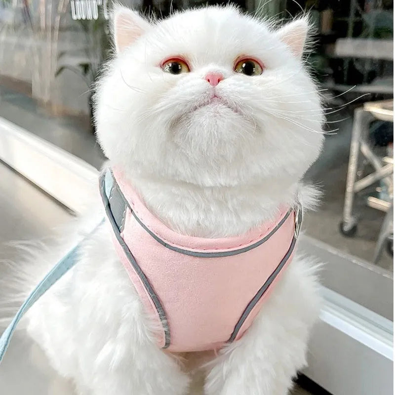 Blue and orange stitched reflective suede cat walking harness with a separate 1.5 metre rope.
