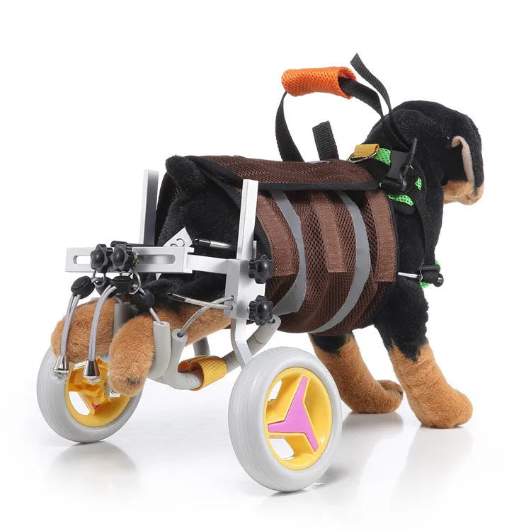 Grey dog wheelchair with adjustable frame, two wheels, and carrying handle on a light background