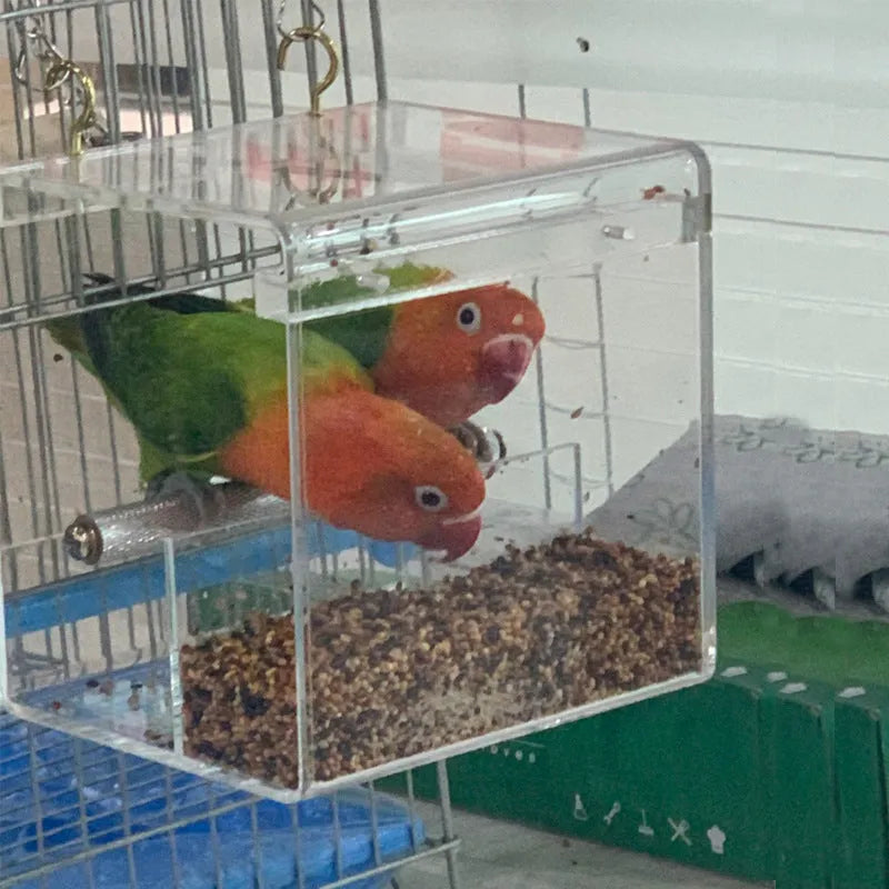 Clear acrylic parrot food box with non-toxic material, available in small, medium and large sizes