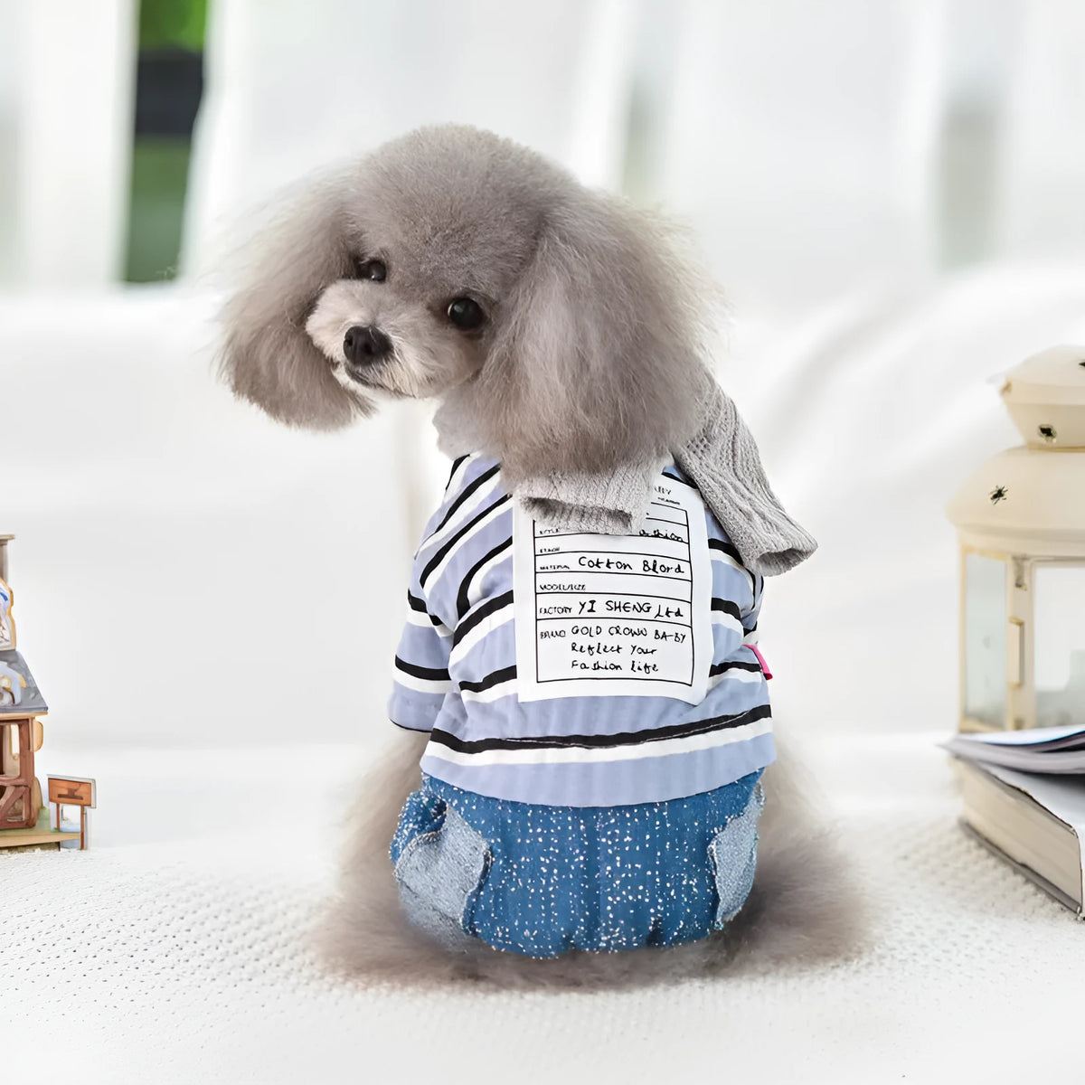 Four legged baby pet clothes in blue or pink, cloth dog outfit with sizes XS to XXL