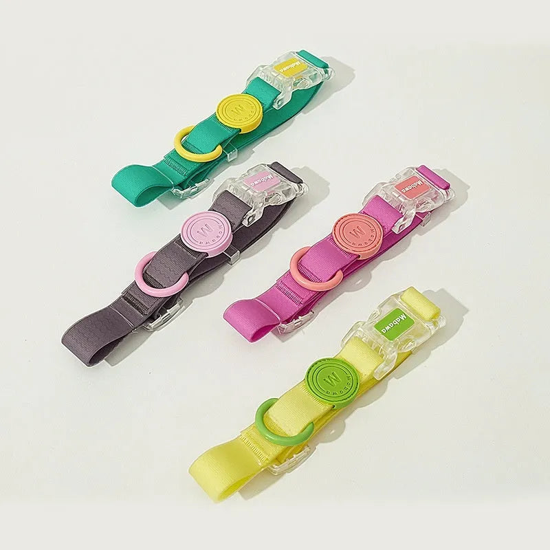 Nylon dog collar and leash in choice of four colours with 1.5m or 2.1m rope options