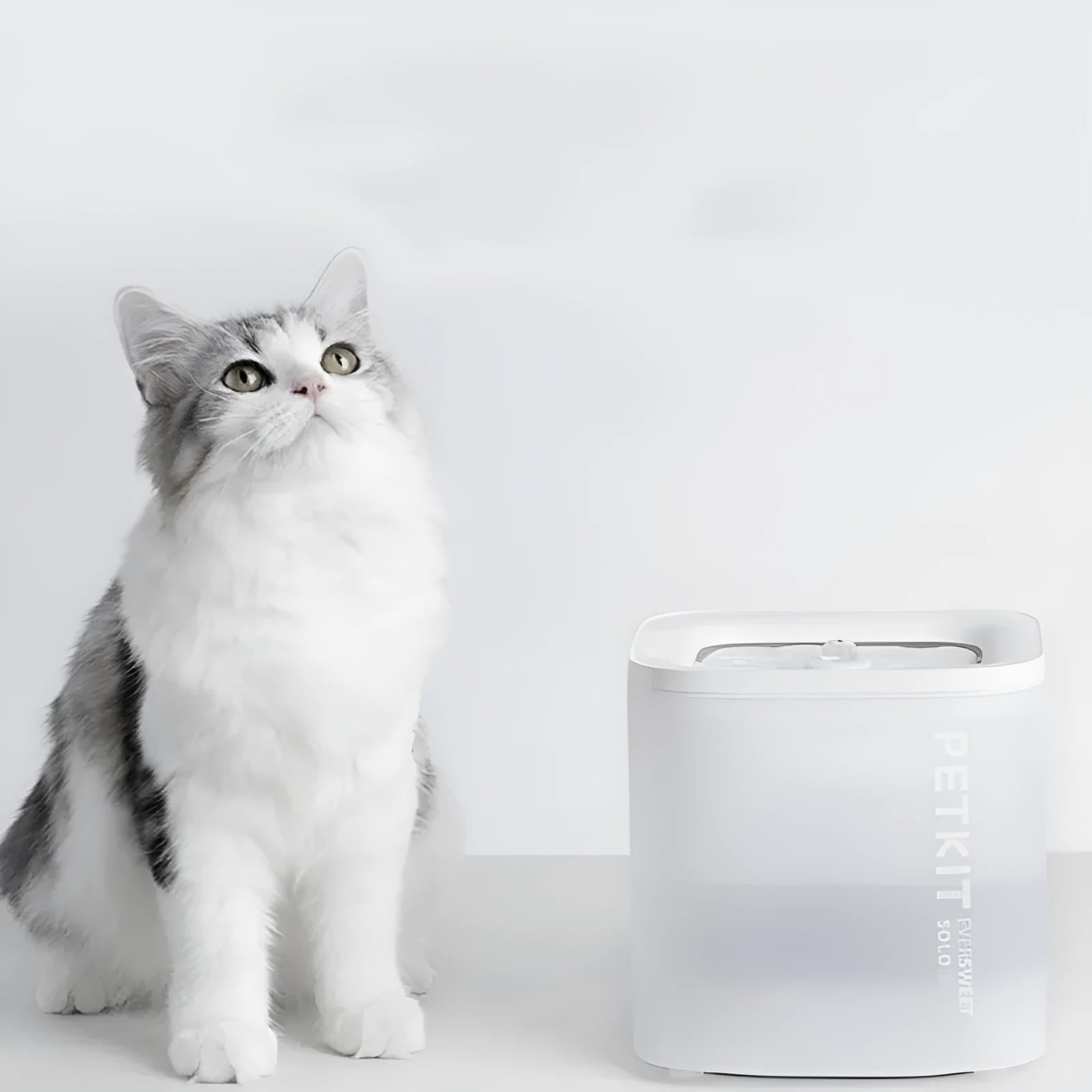 Xiaopei SOLO2 smart pet water dispenser with wireless operation for dogs and cats