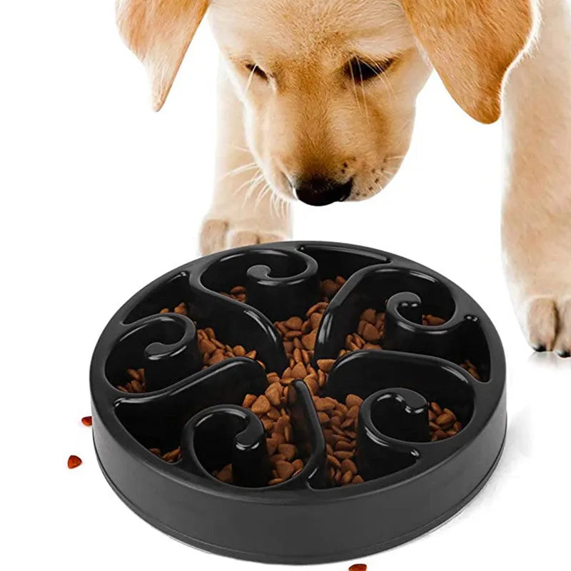 A coloured slow feeder dog bowl with a maze pattern inside and a wide non-slip base.