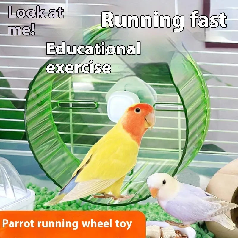 21cm diameter plastic bird running wheel toy in transparent colour with anti-slip tread surface