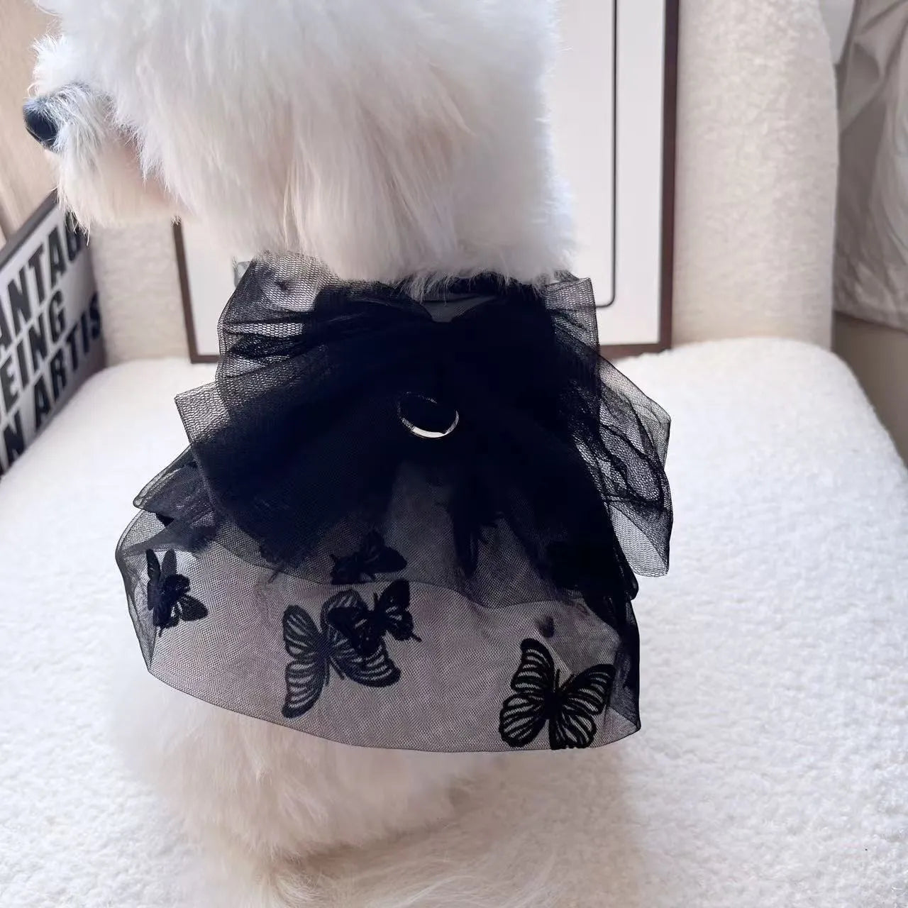 Black tiered tulle princess skirt on a small dog, showing the gauze layers and fit.