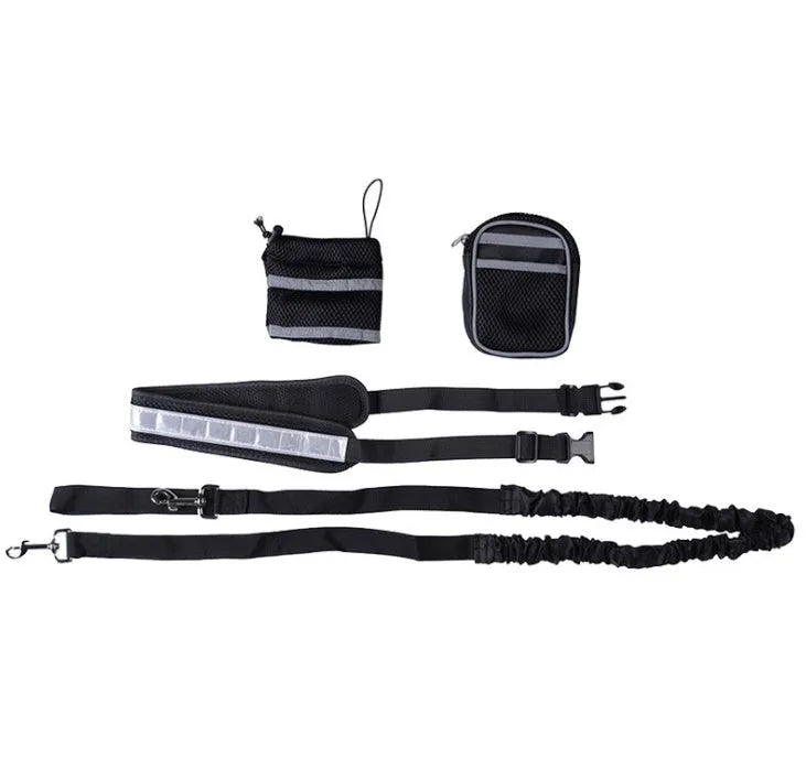 Adjustable hands free dog leash set with gray nylon retractable rope and waist bag on a grass field