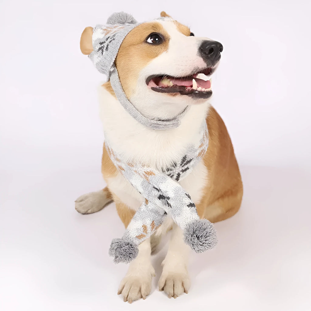 Japanese-style retro jacquard pet sweater set with matching scarf and hat in grey or pink colours