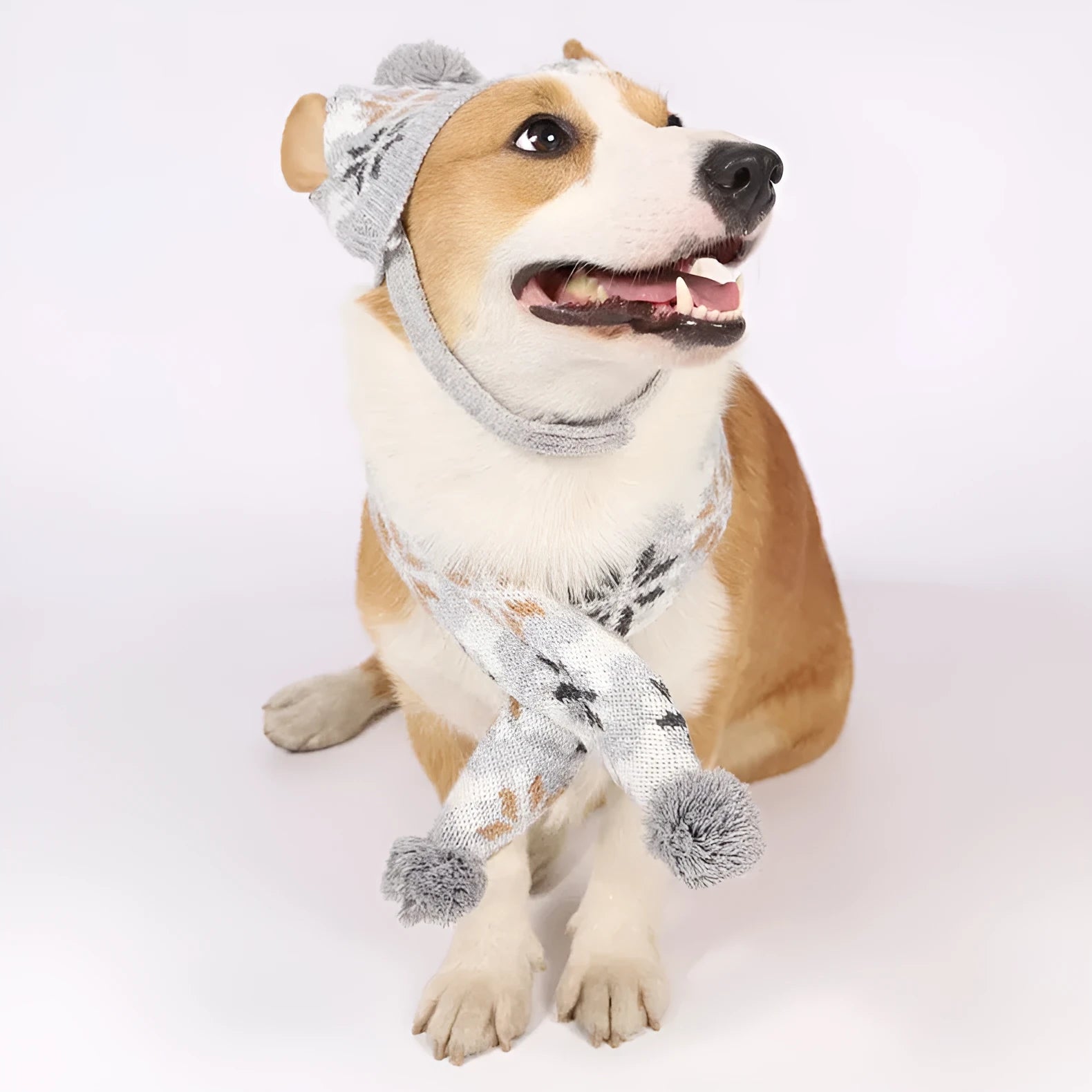Japanese-style retro jacquard pet sweater set with matching scarf and hat in grey or pink colours