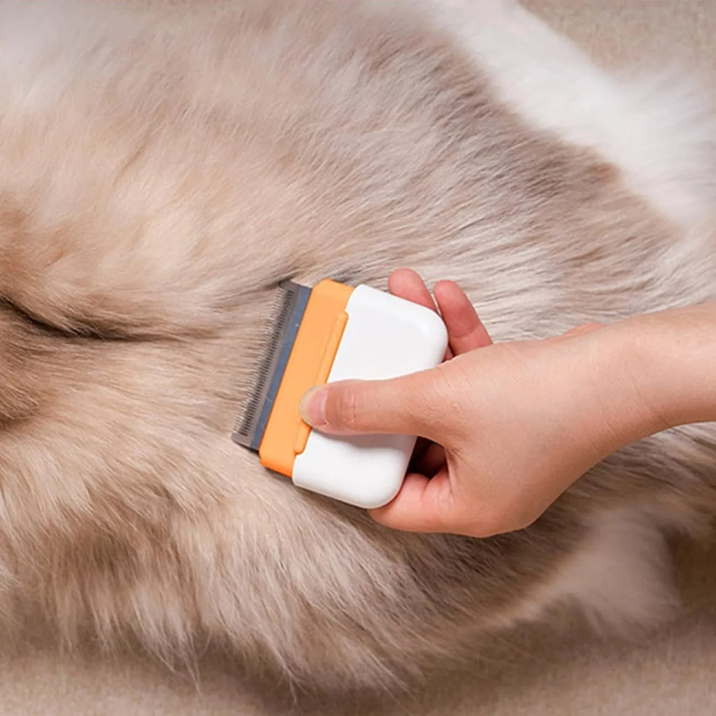 Blue double-sided pet grooming comb with stainless steel pins for cats and dogs