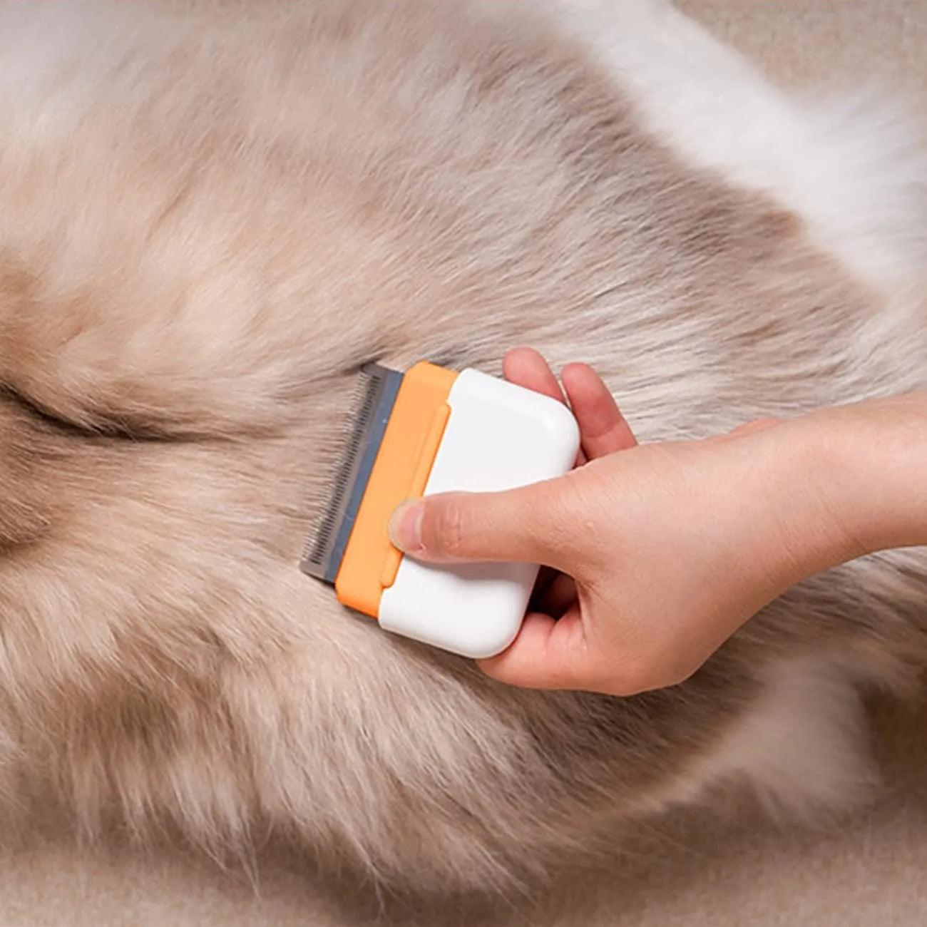 Blue double-sided pet grooming comb with stainless steel pins for cats and dogs