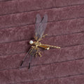 Golden dragonfly side clip headdress for women's hair with electroplated alloy construction