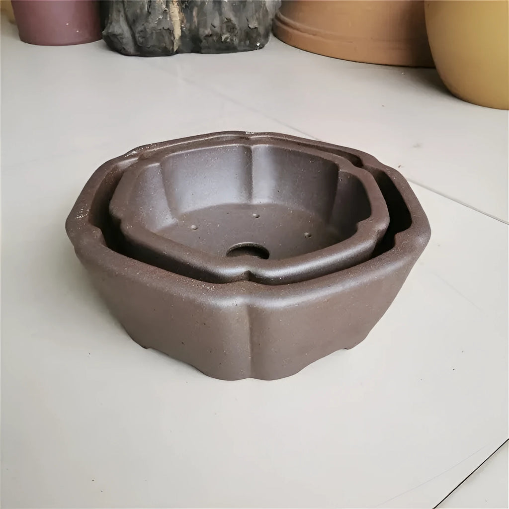 Large hexagonal purple sand flowerpot in brown colour for flowers and green plants