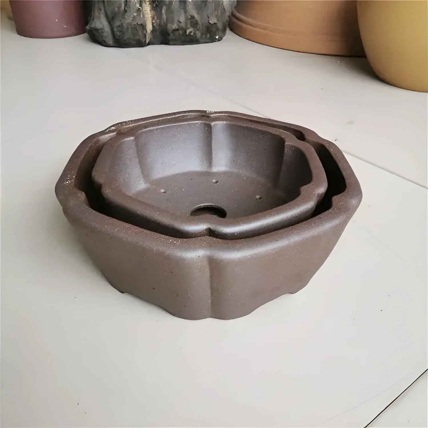 Large hexagonal purple sand flowerpot in brown colour for flowers and green plants