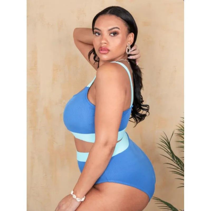 Women's high-waist polyester bikini set in picture colour available sizes 0XL to 4XL