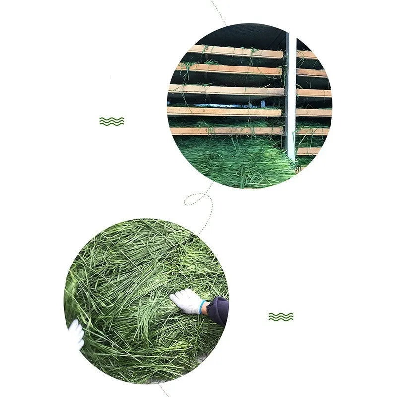 Dried Timothy grass 1kg gross 680g net pack for rabbits chinchillas and guinea pigs