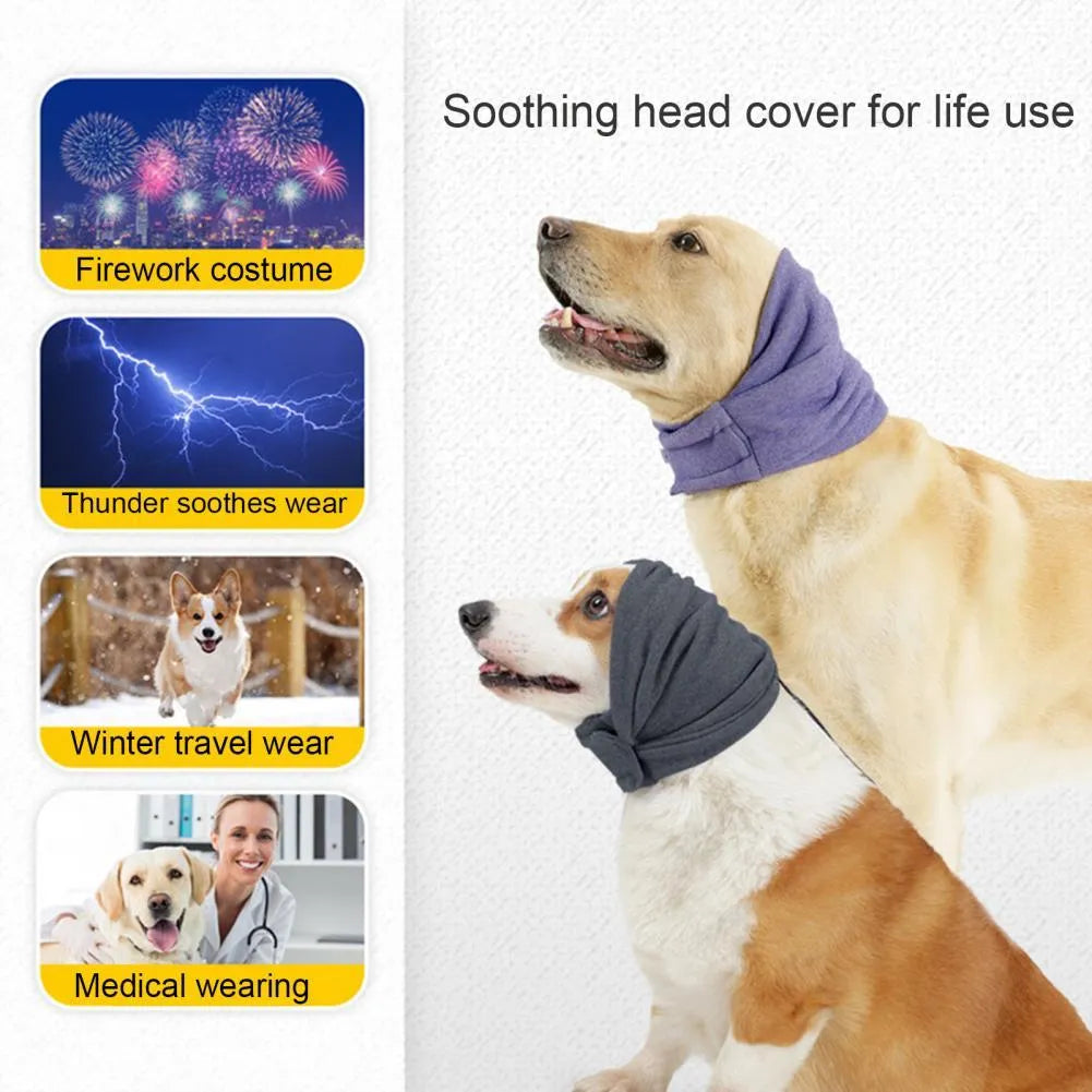 Black dog hoodie with ear covers on canine model showing closure system