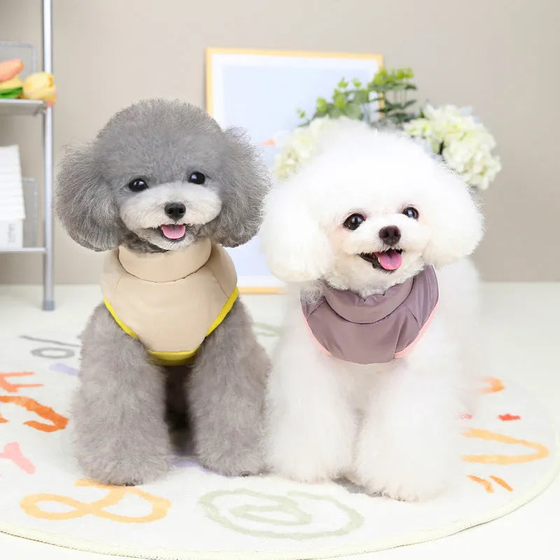 Dog wearing autumn winter cotton vest with zipper in blue colour