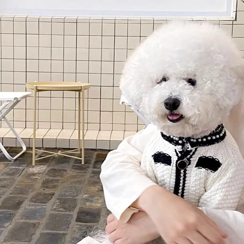 Korean style white pearl collar dog sweater on small puppy showing princess-style pet clothing