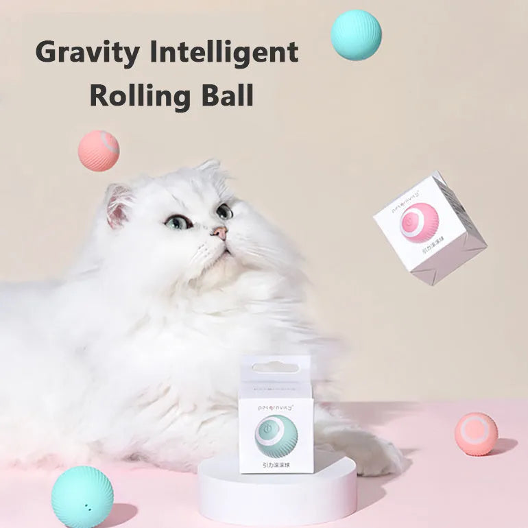 Cat Gravity Intelligent Rolling Ball 43mm automatic pet toy with bionic motion and obstacle avoidance on hard floor