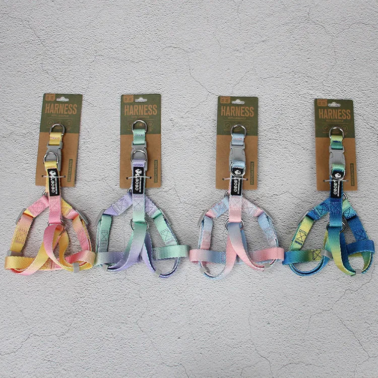 Gradient colour nylon dog leash and collar set in pink and blue combination