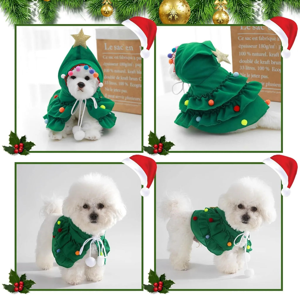 Cat wearing Christmas tree costume with star ornament in green