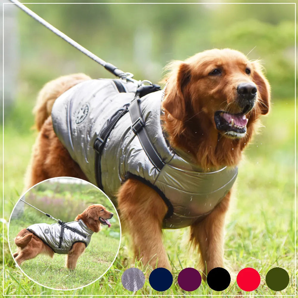 Waterproof dog coat with integrated harness in rain silk fabric for medium to large breeds