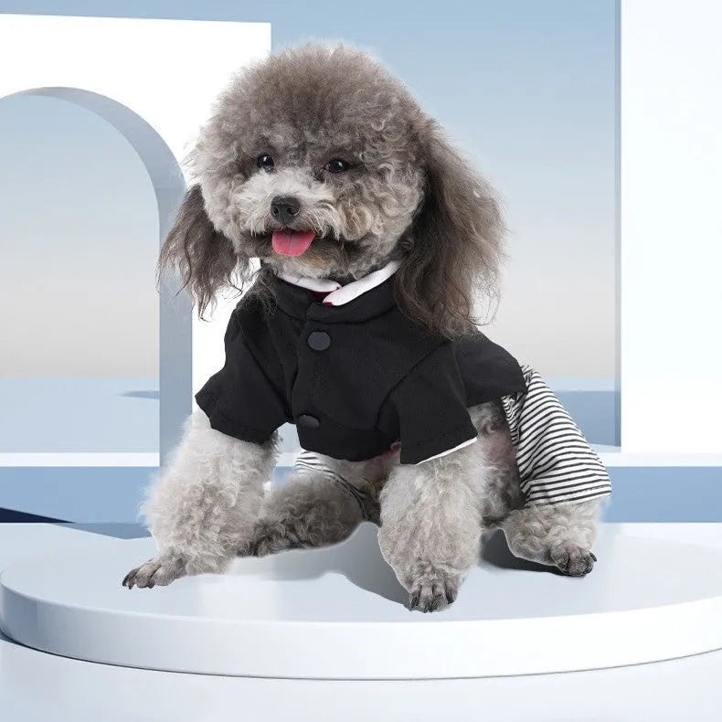 Thin cotton dog clothes for poodles in skirt and four-foot pants styles, shown in S, M, L, XL sizes.