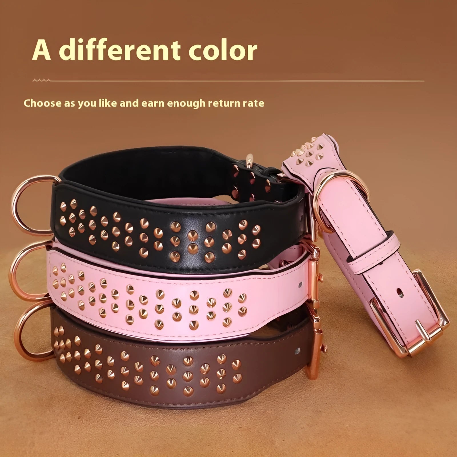 Close-up of a black leather dog collar with metal rivets and an adjustable buckle.