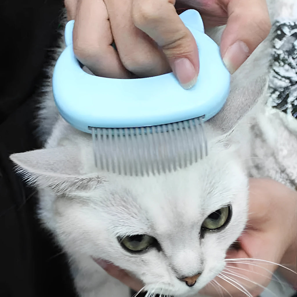 ABS plastic cat massage comb in blue, green, and pink colours, 10x9 cm, for grooming long and short haired cats