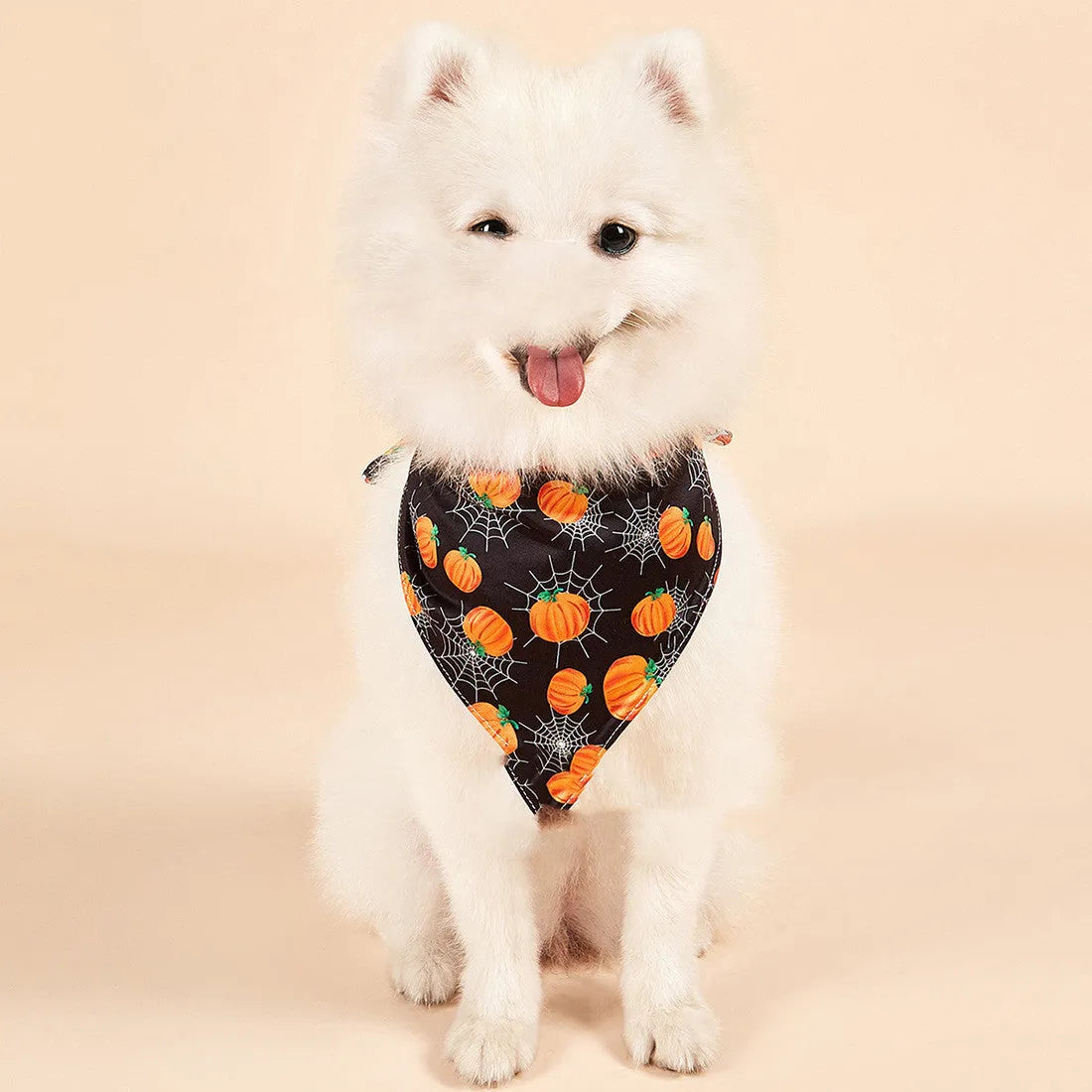 Halloween double-sided pet saliva towel in milk silk with printed pattern, available in S and M sizes
